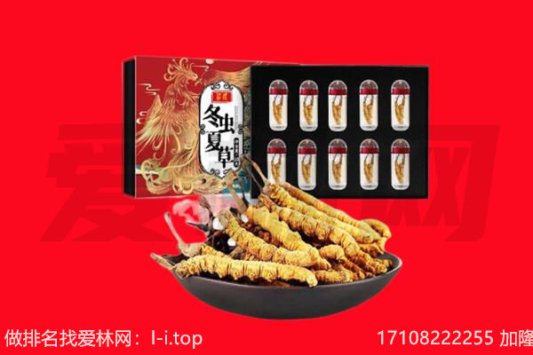 黔西南安龙县回收虫草.jpg